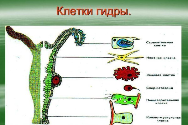 Кракен даркнет маркет плейс